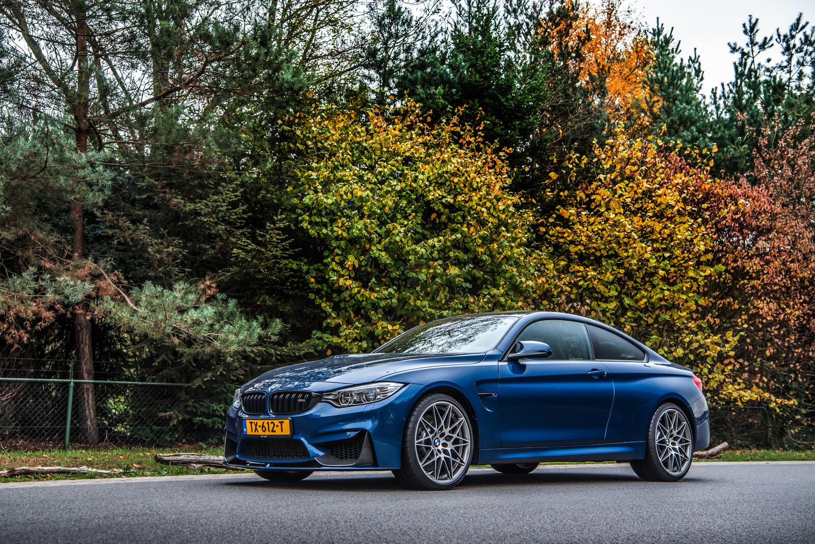 Free photo BMW M4 Competition in blue
