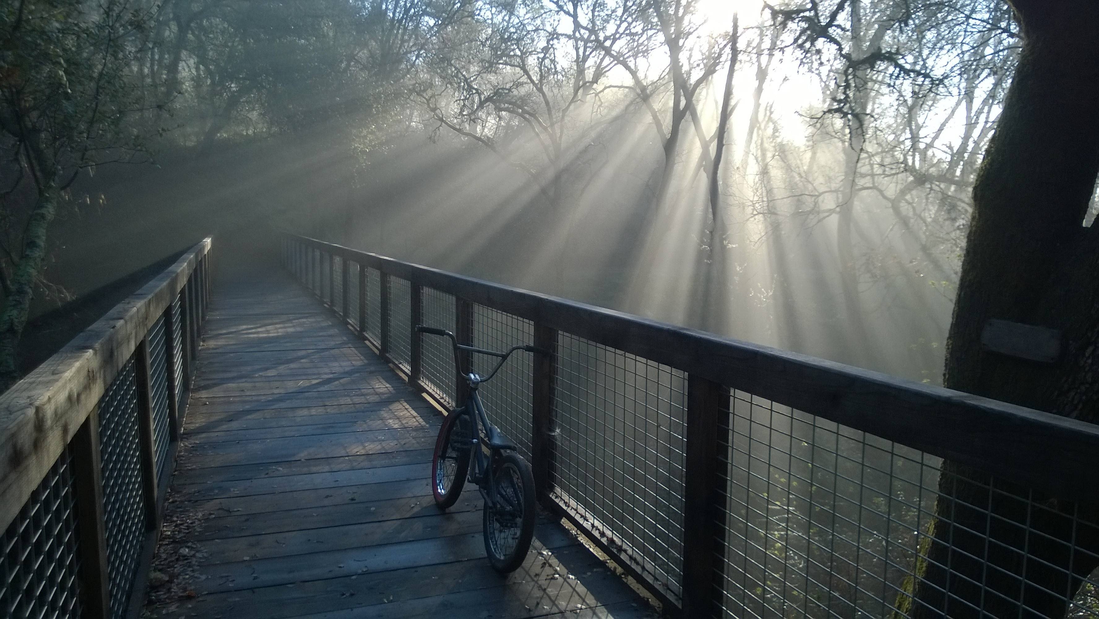 A bicycle on a forest bridge in the sunlight