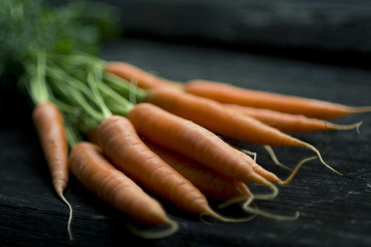 Freshly dug washed carrots