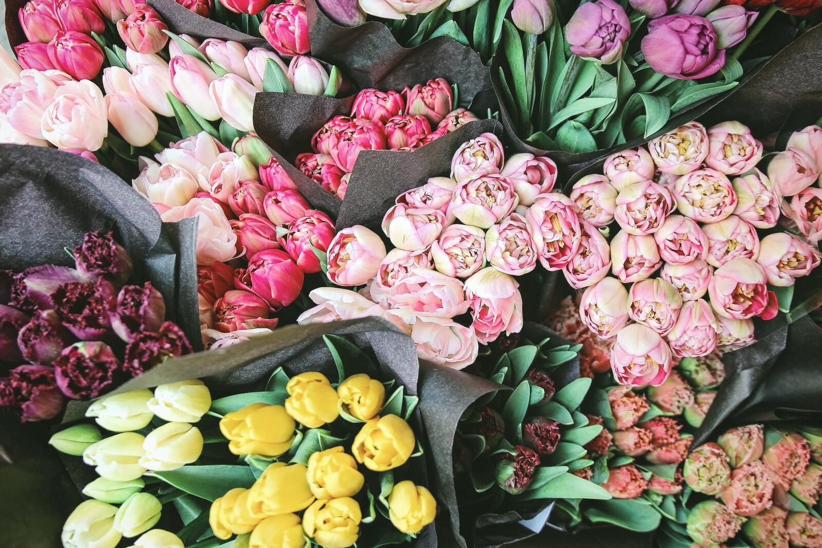 Бесплатное фото Разные букеты цветов