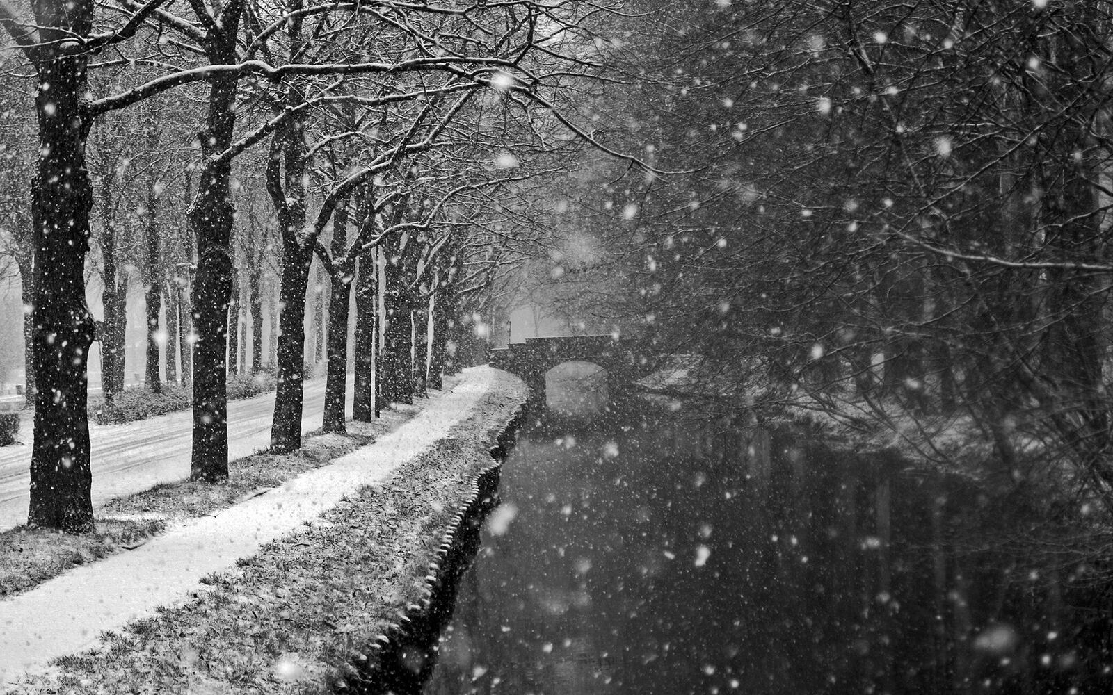 Бесплатное фото Первый снег в осеннем парке