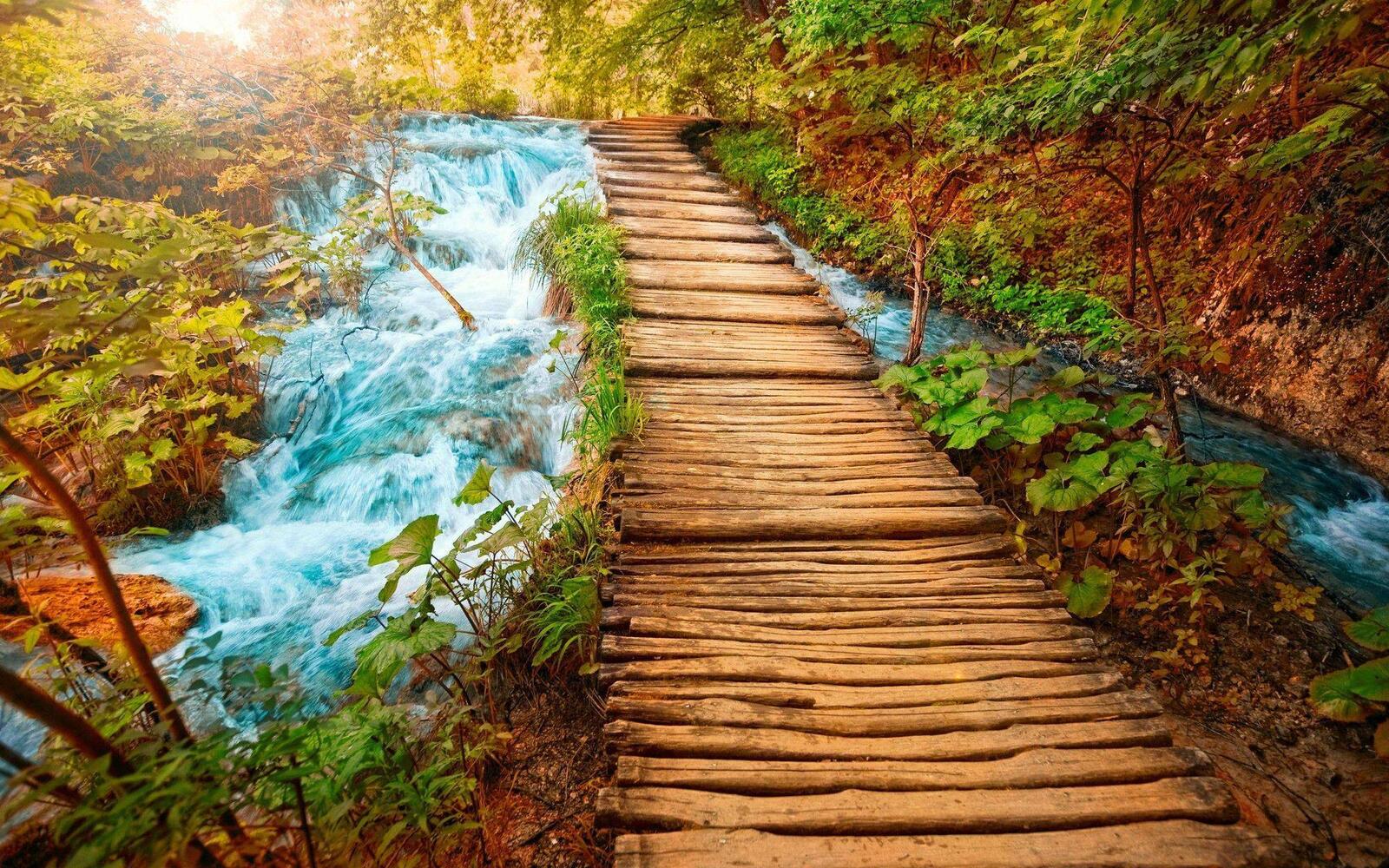 Free photo Wooden path with a mountain stream.