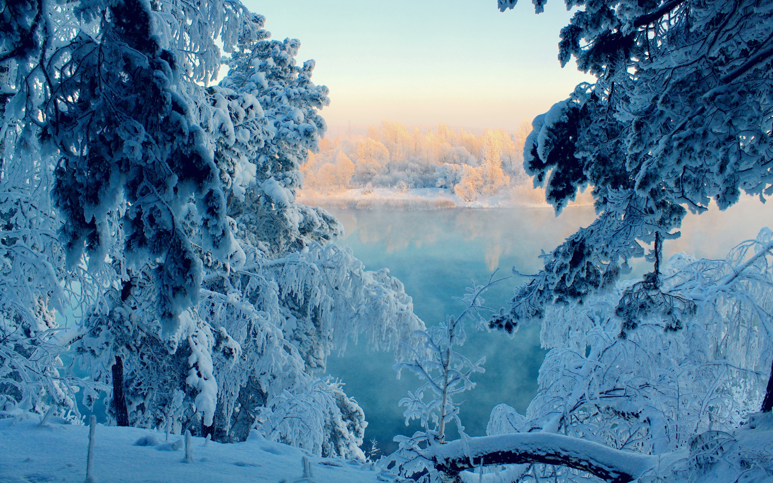 Free photo Snowy forest with a lake during frosty weather