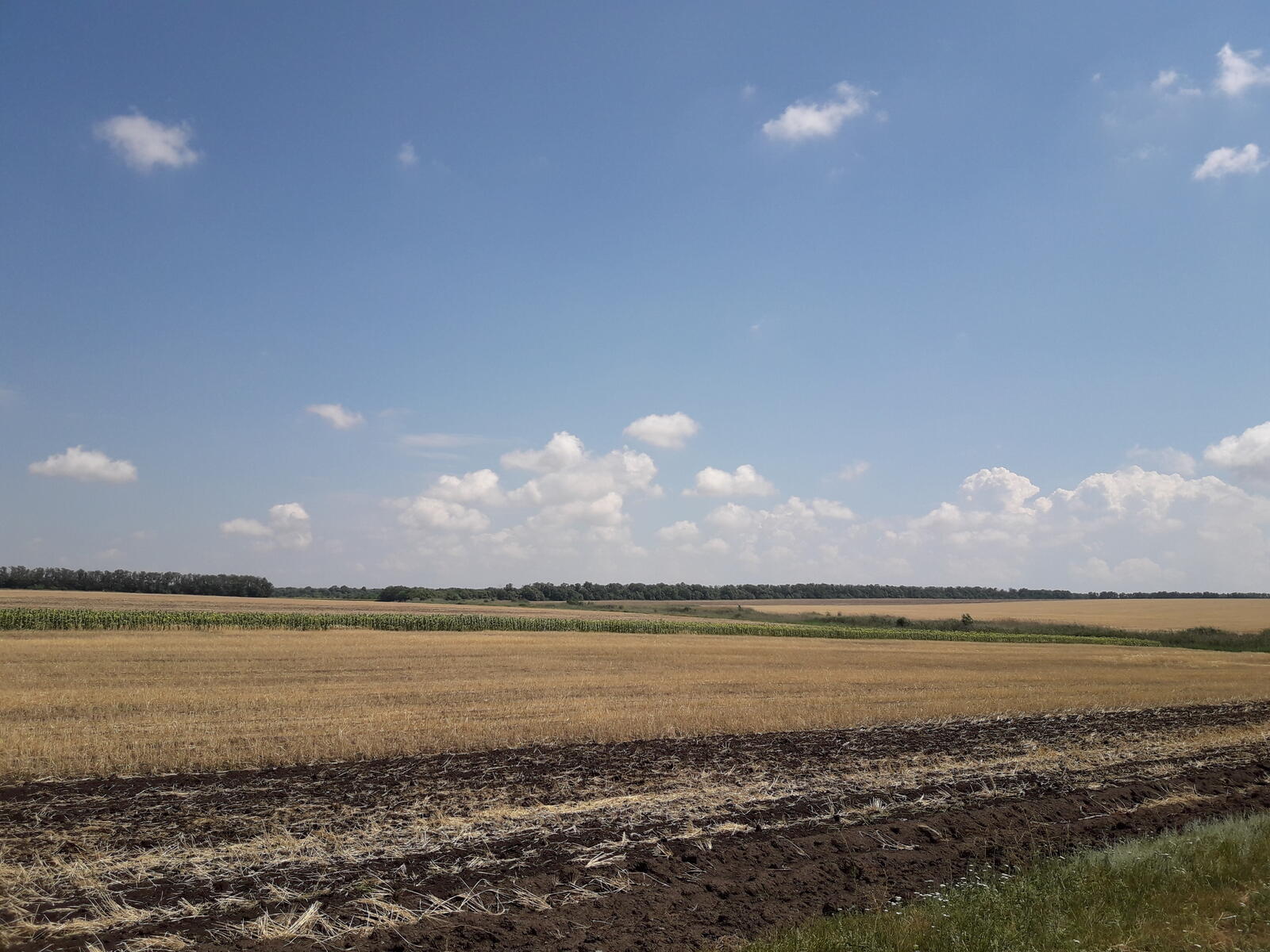 Бесплатное фото Просторное весеннее поле с голубым небом