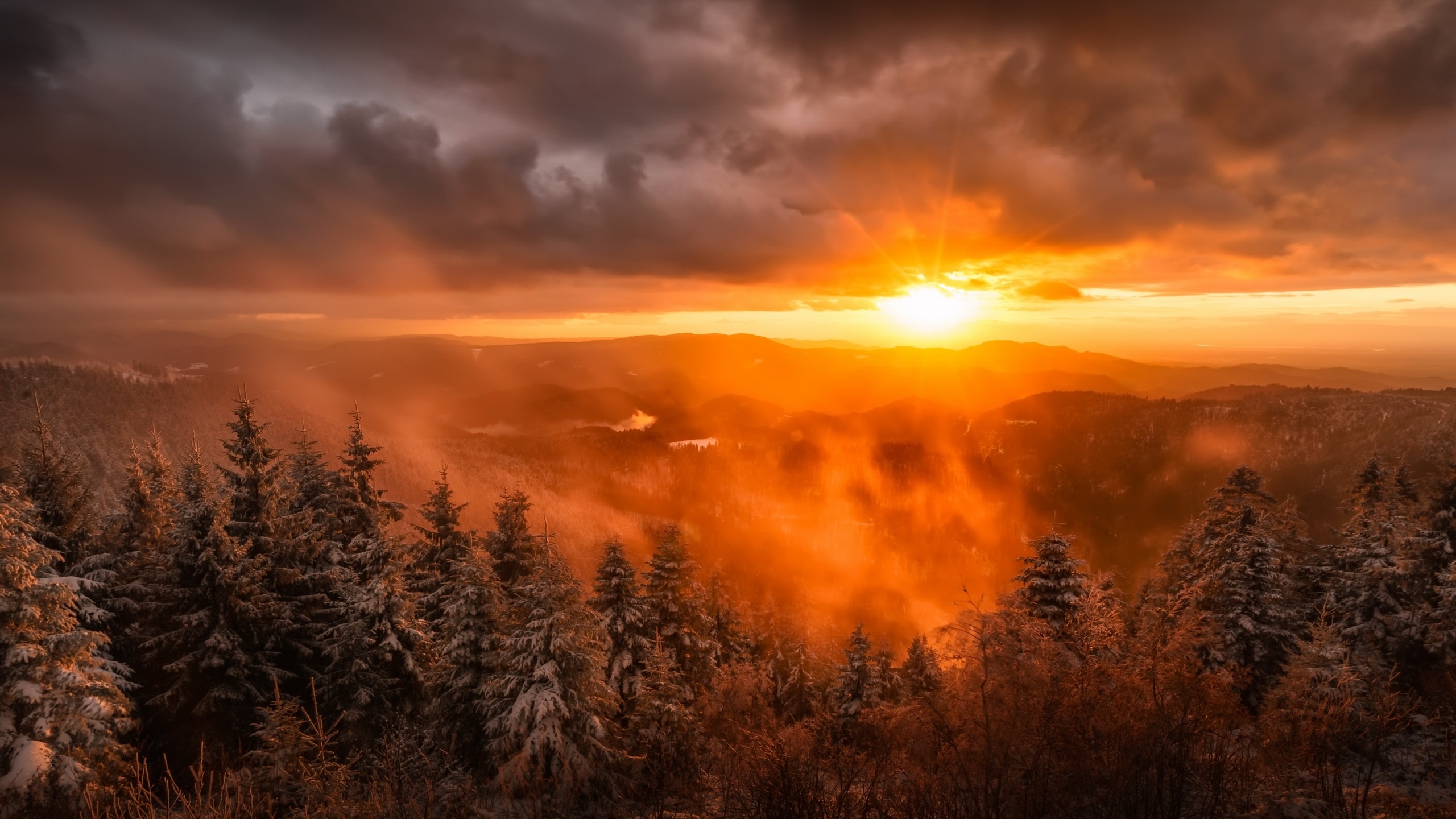 Free photo A colorful sunrise on a mountain with thick forest and fog