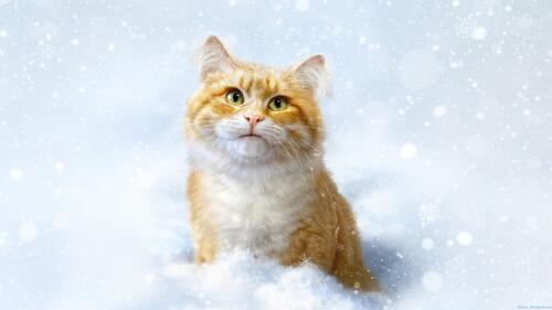 Рисунок рыжего котика в снегу