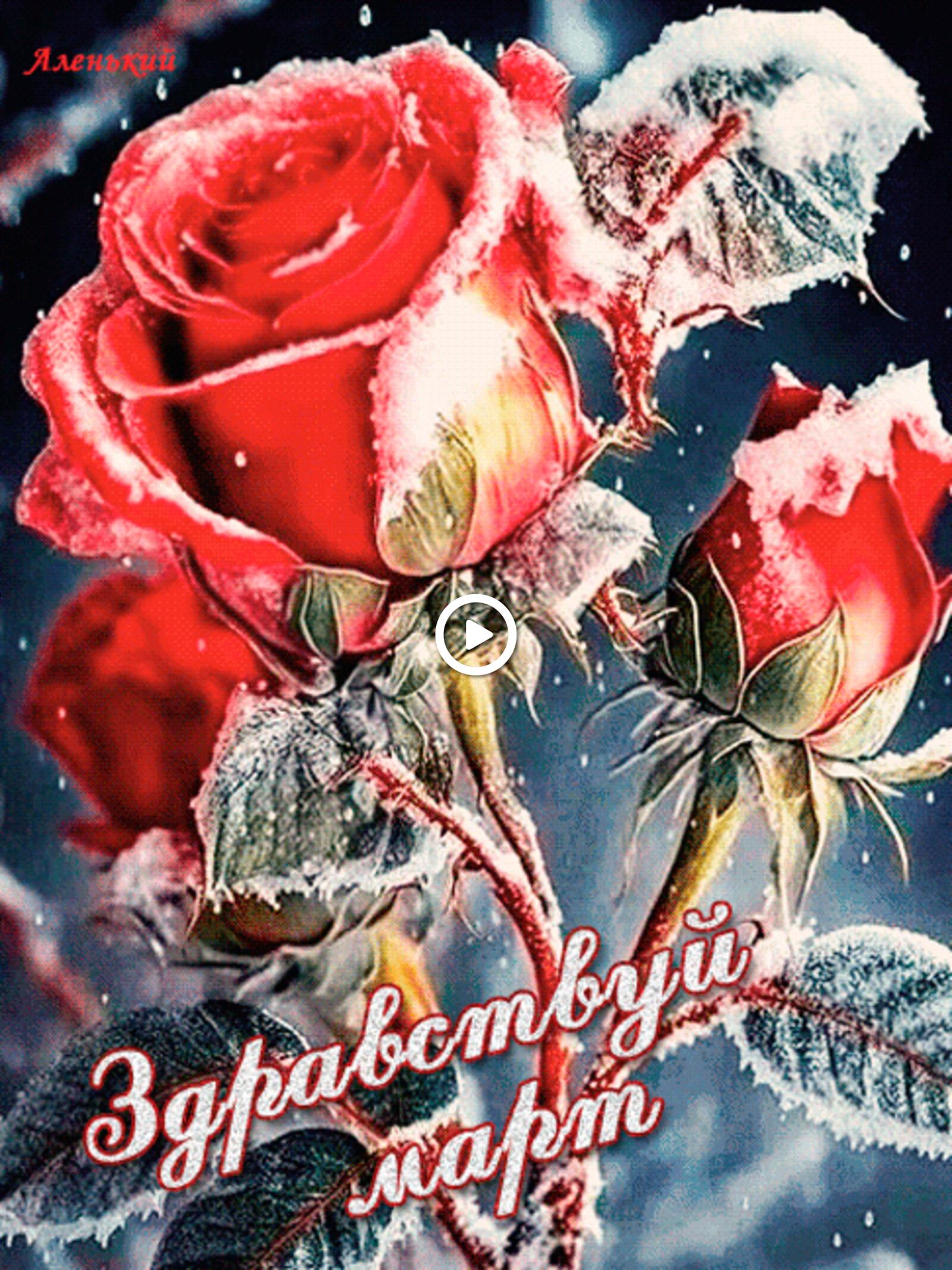 一张以玫瑰 鲜花 3月1日为主题的明信片