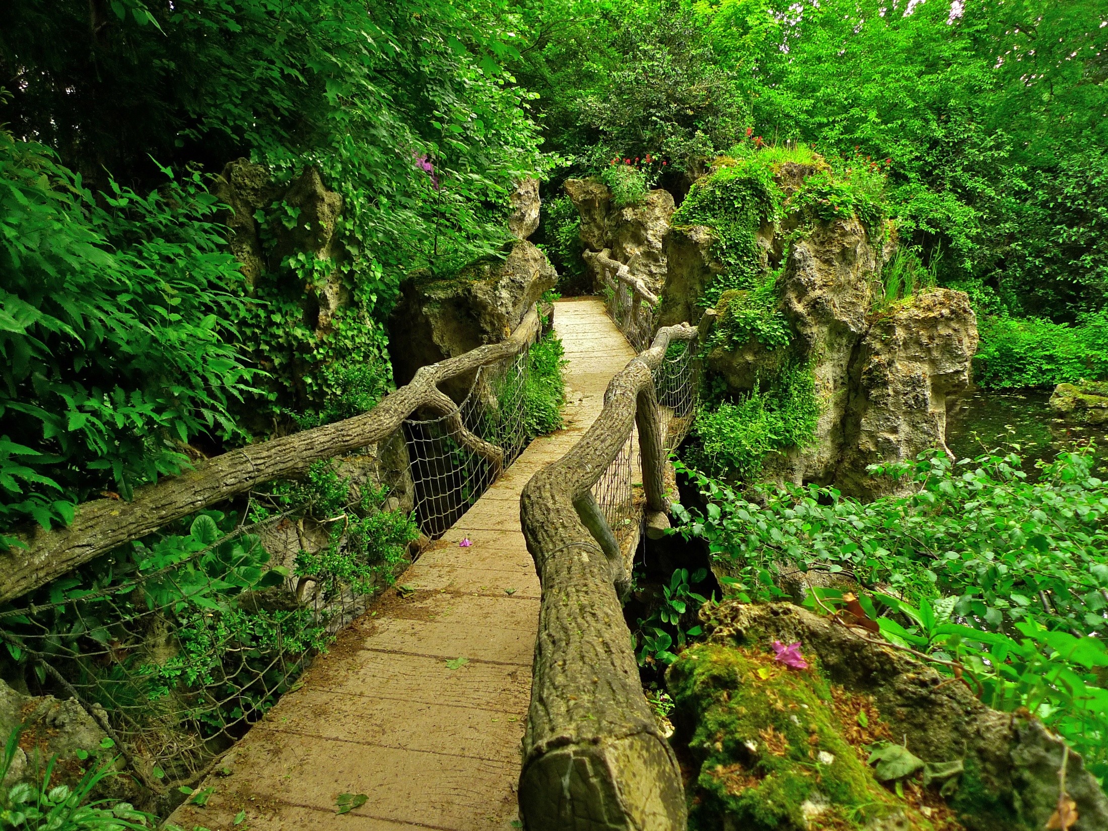 Бесплатное фото Старый деревянный мост в лесу
