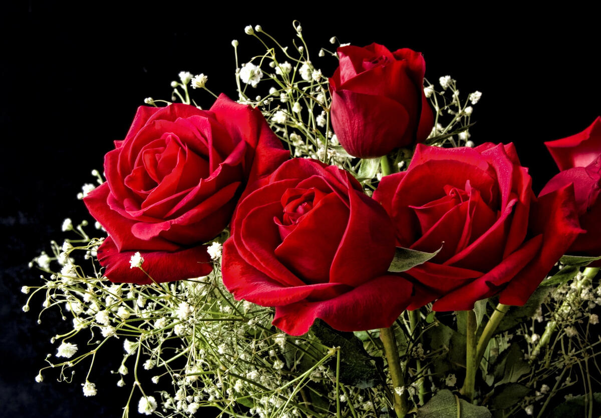 A bouquet of beautiful red roses