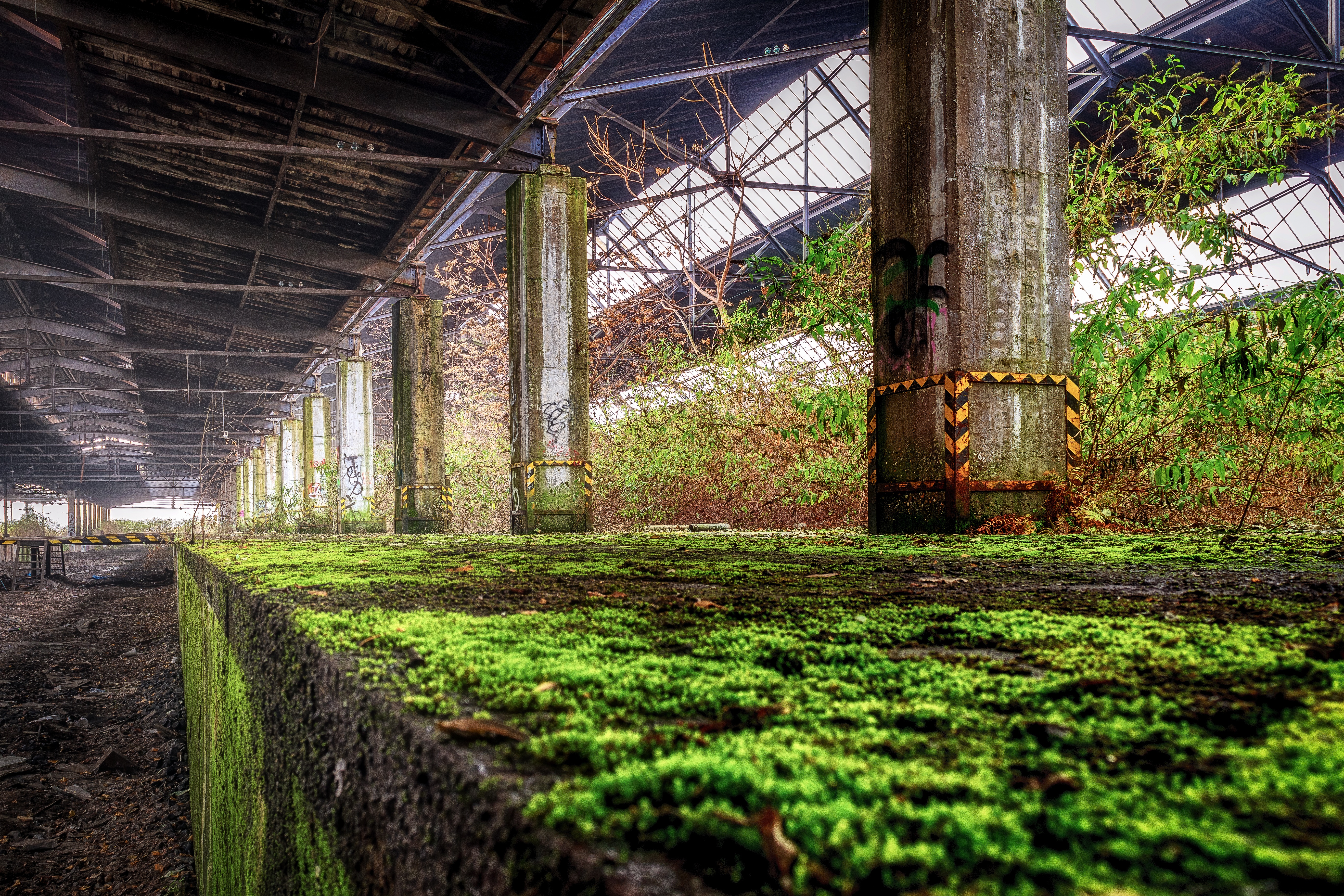 Free photo An abandoned large greenhouse