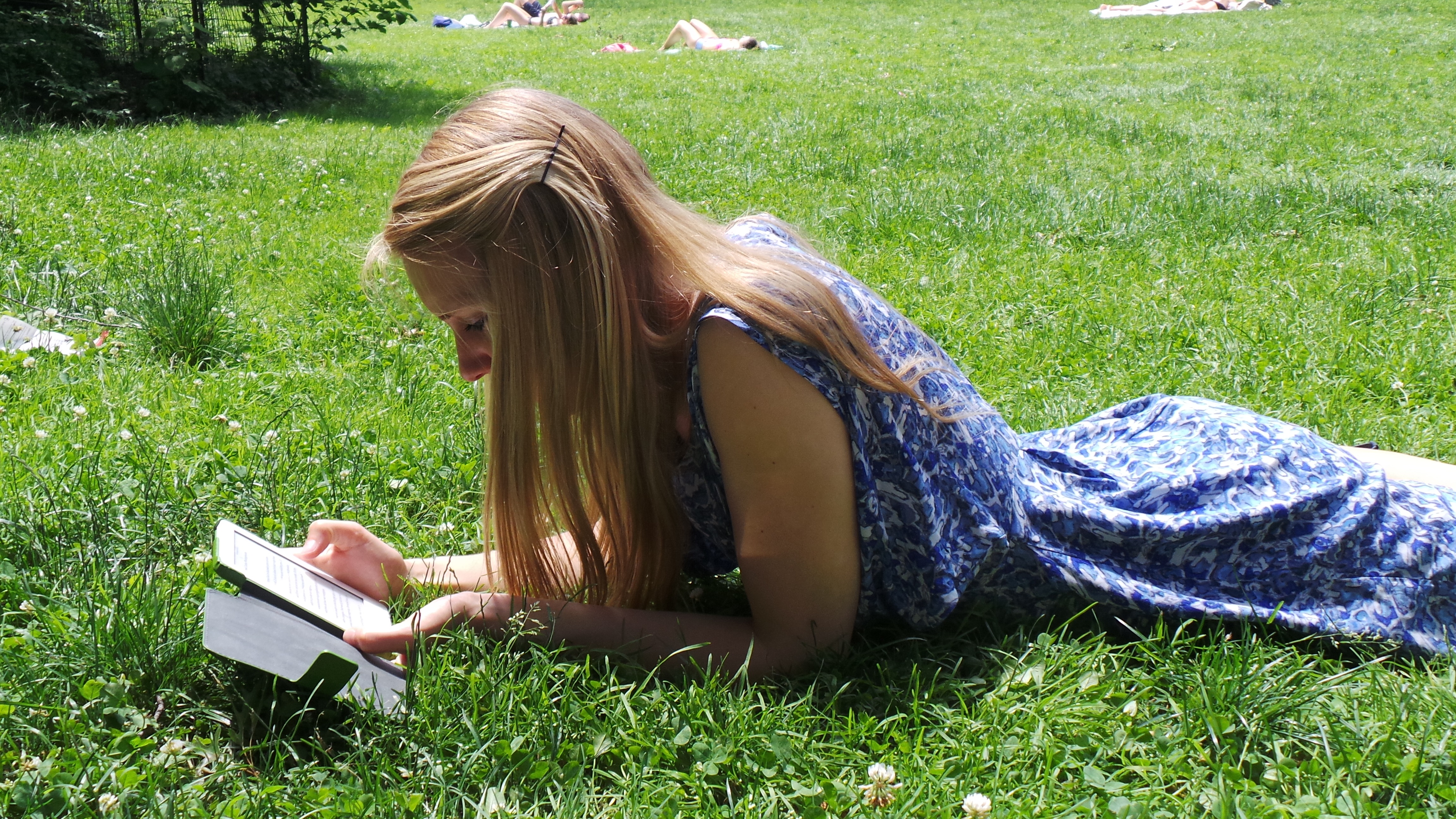 Фото бесплатно трава, читать, солнце