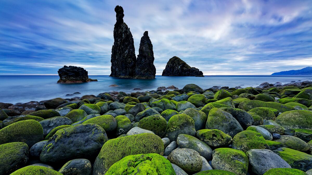 Каменистый берег моря во мху в Португалии