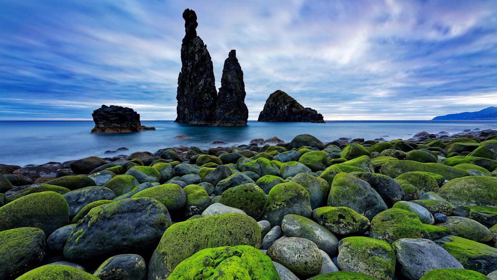 Бесплатное фото Каменистый берег моря во мху в Португалии