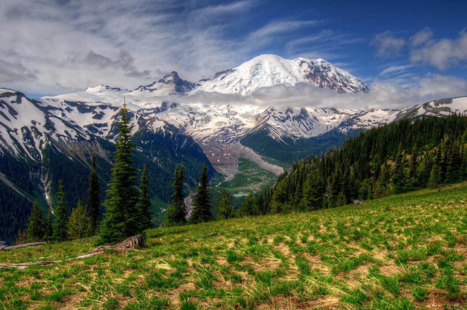 Бесплатное фото Прогулка по зеленым холмам с видом на снежные горы