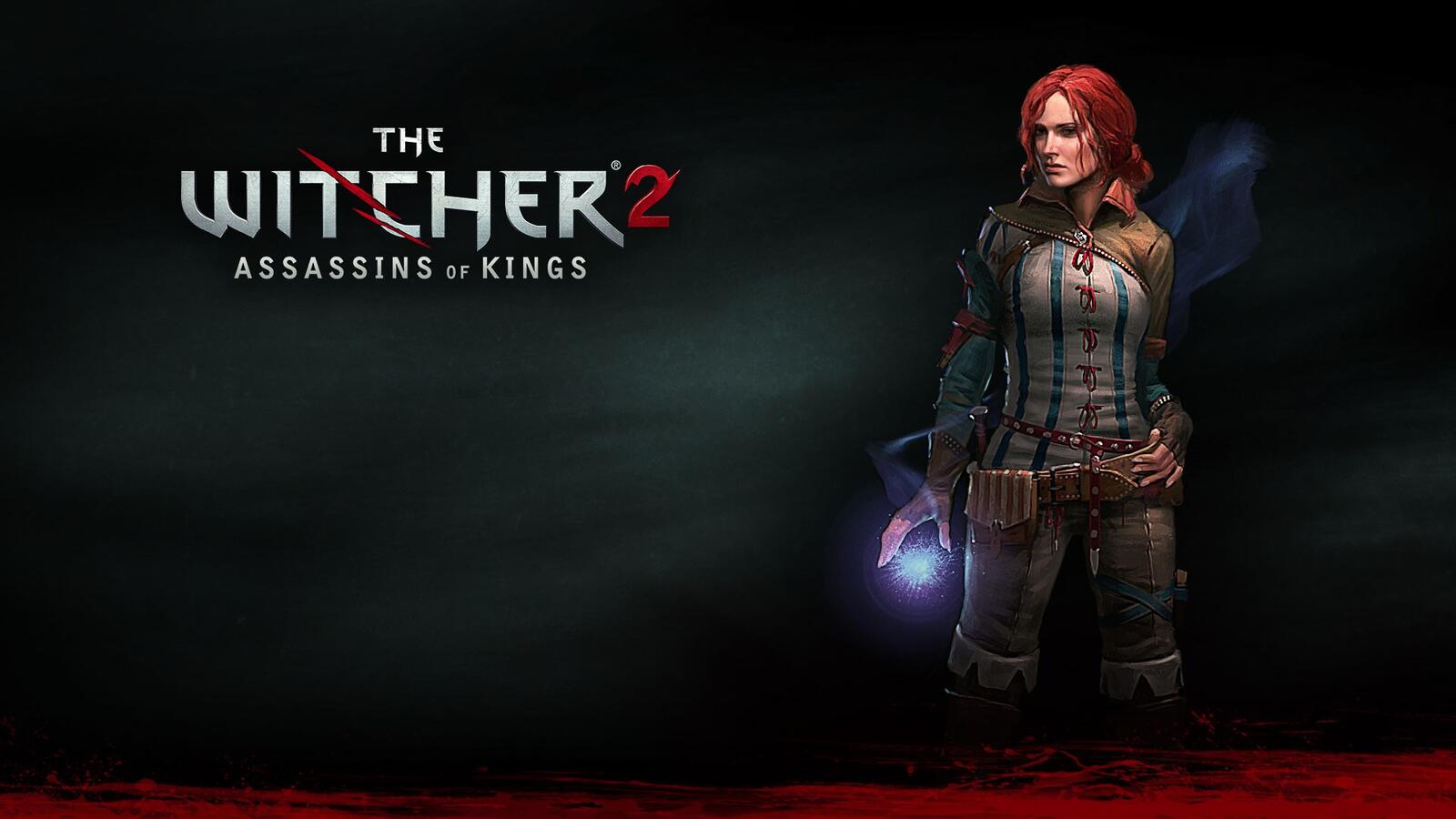Free photo The Witcher 2 Assassins of Kings