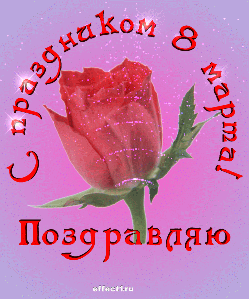 Поздравляю с праздником 8 марта и дарю розу