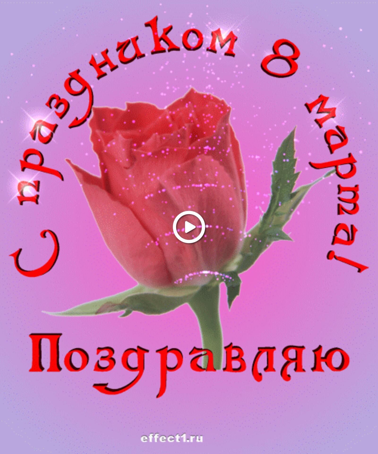 Бесплатная открытка Поздравляю с праздником 8 марта и дарю розу