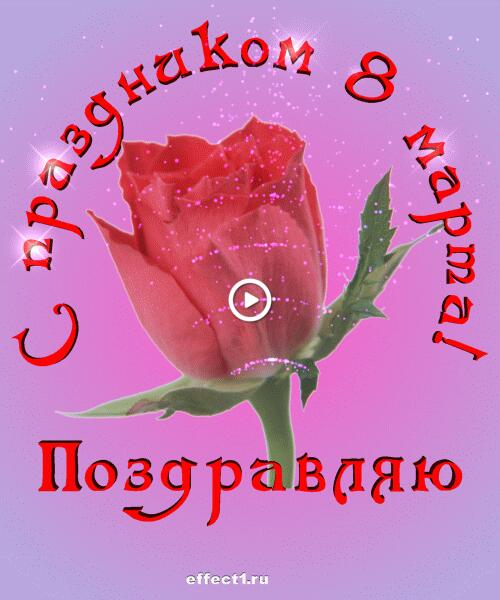 Поздравляю с праздником 8 марта и дарю розу