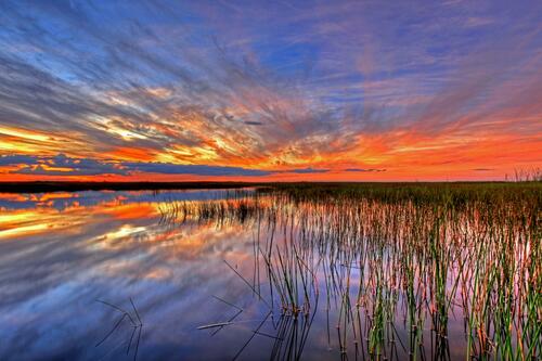 Sunset on the lake with reeds
