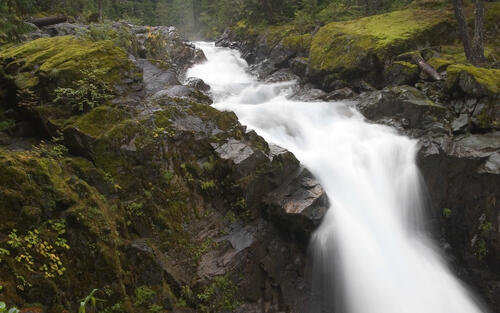 Поток воды между скал в лесной местности
