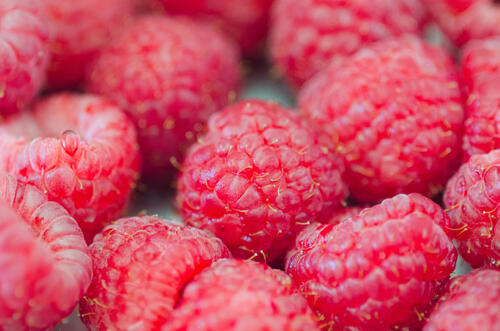 Fresh raspberries close-up