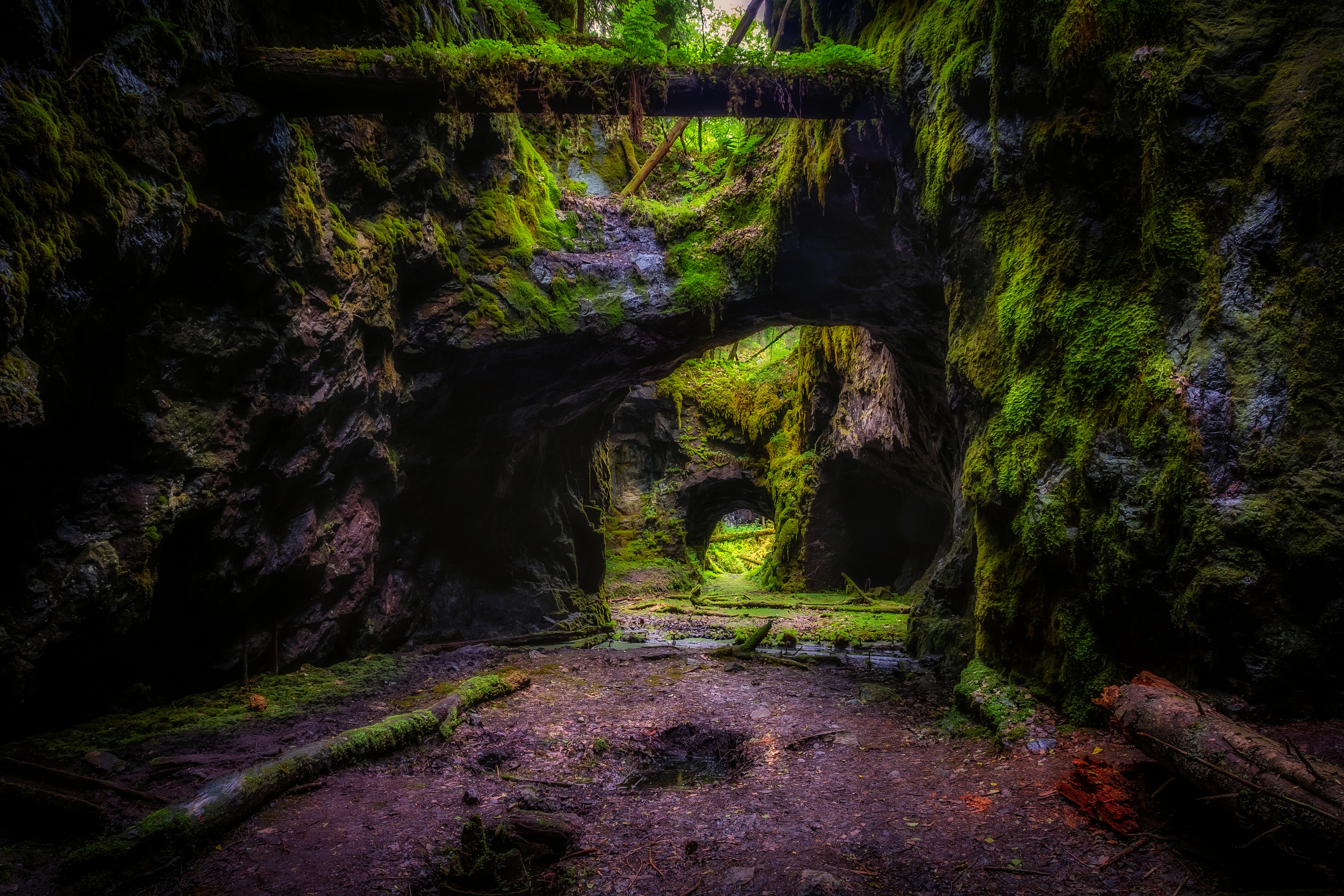 免费照片瑞典的一个洞穴状岩层