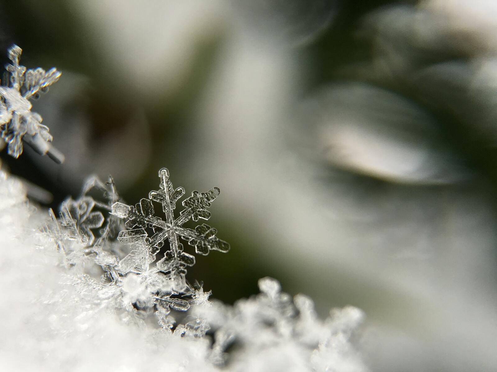 Free photo Transparent snowflake close-up