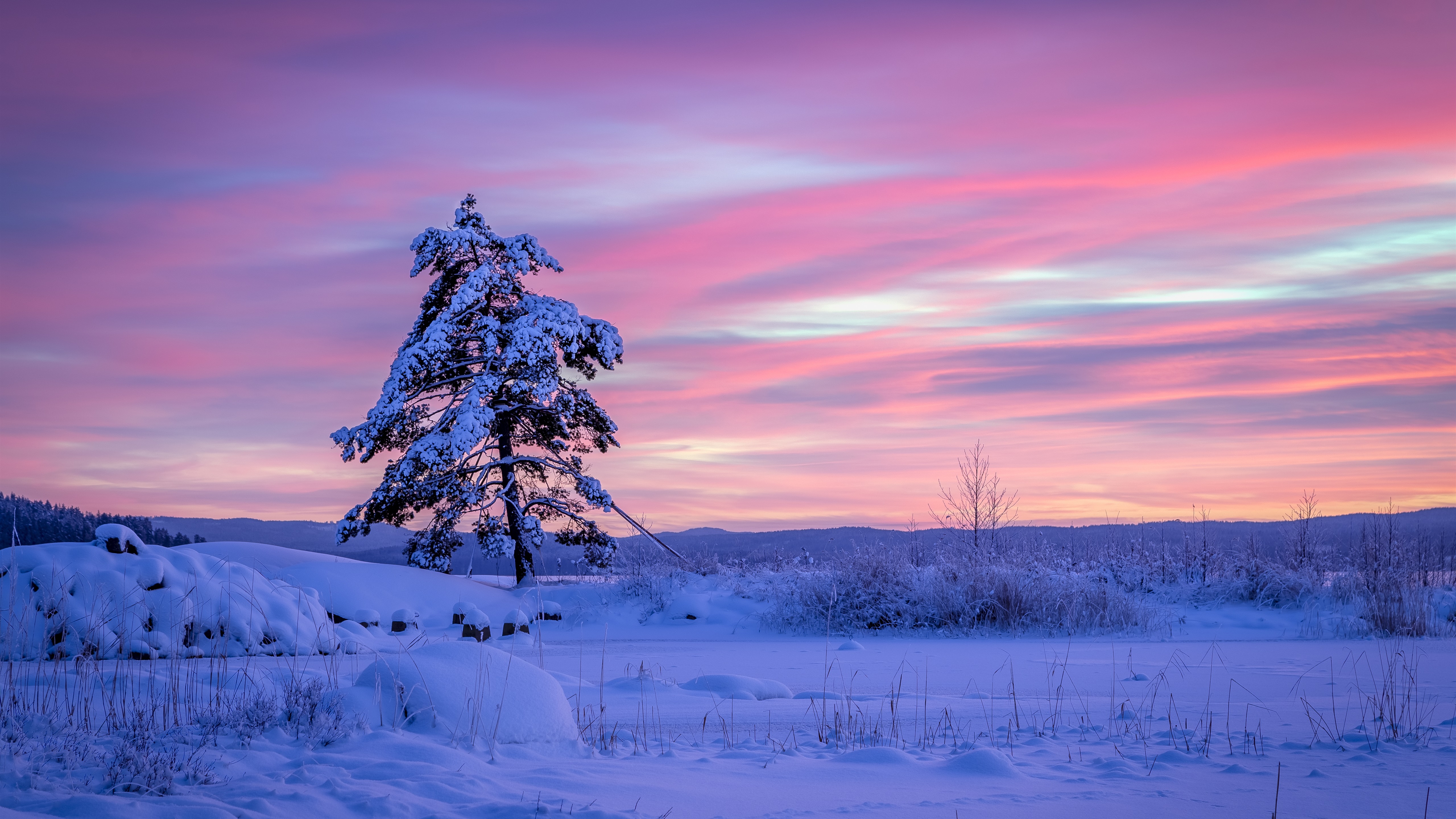 Бесплатное фото Снежная холодная Швеция