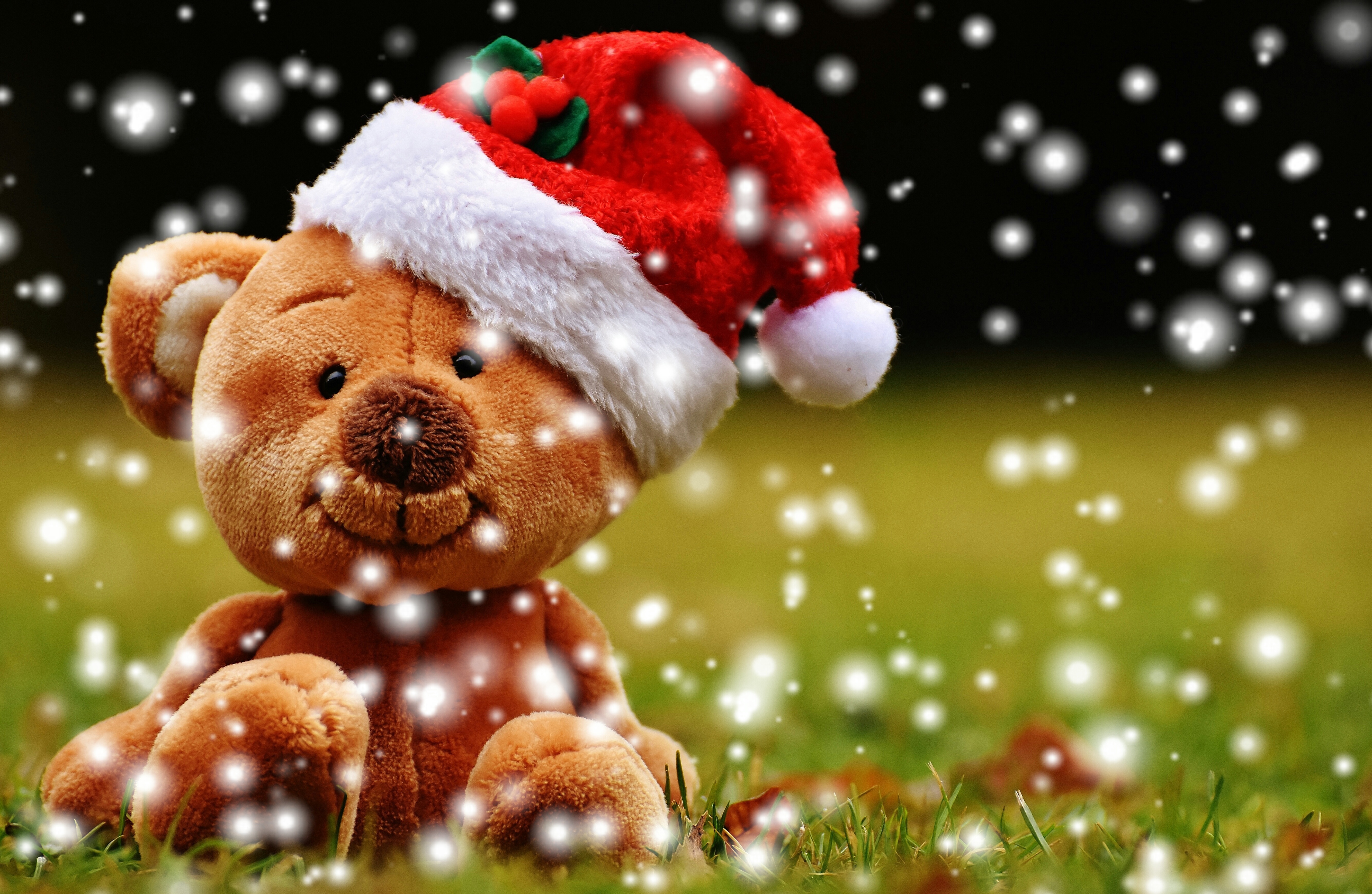 Бесплатное фото Плюшевый мишка тедди в новогодней шапке