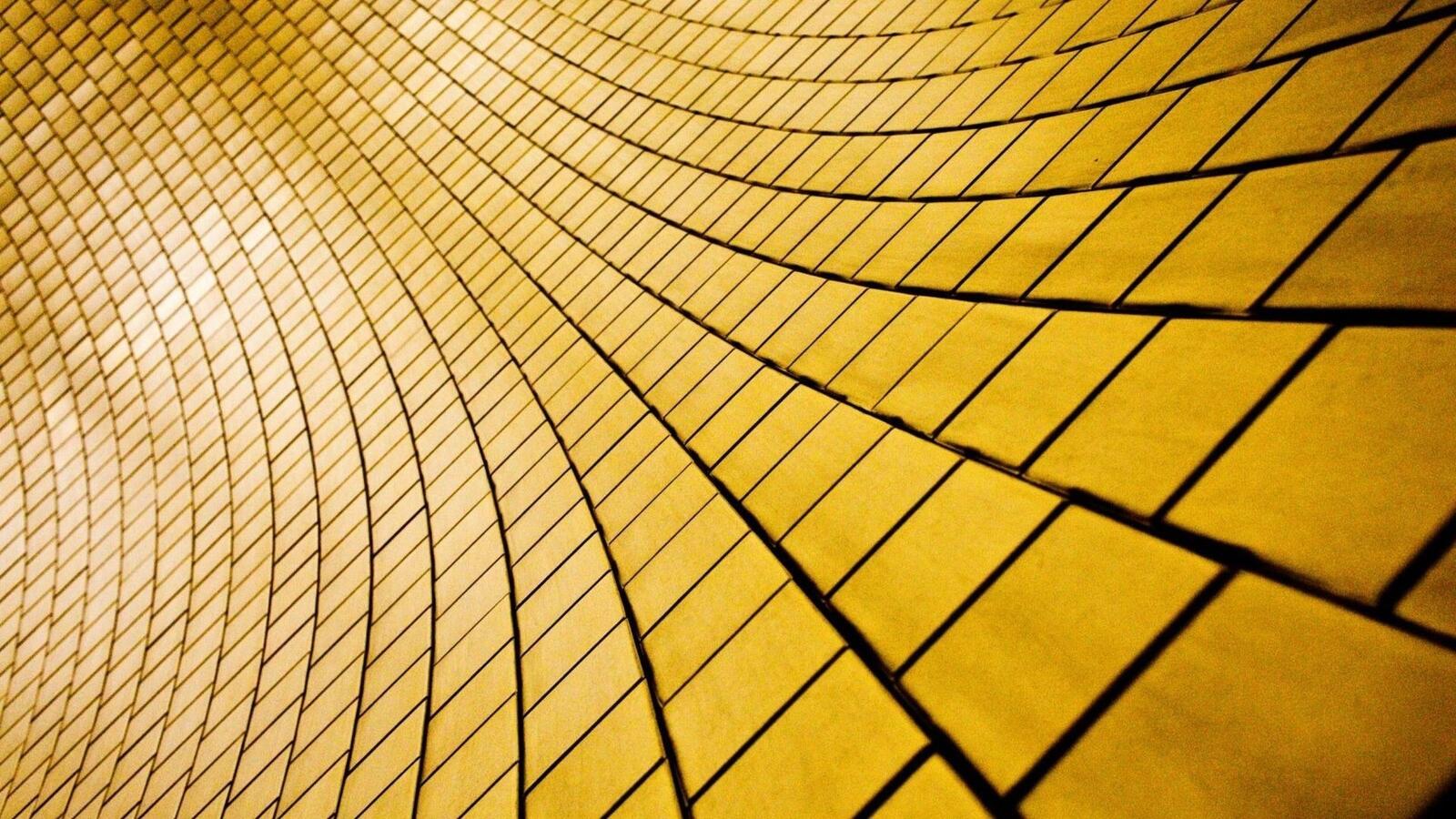 Wallpapers sun light wood symmetry on the desktop