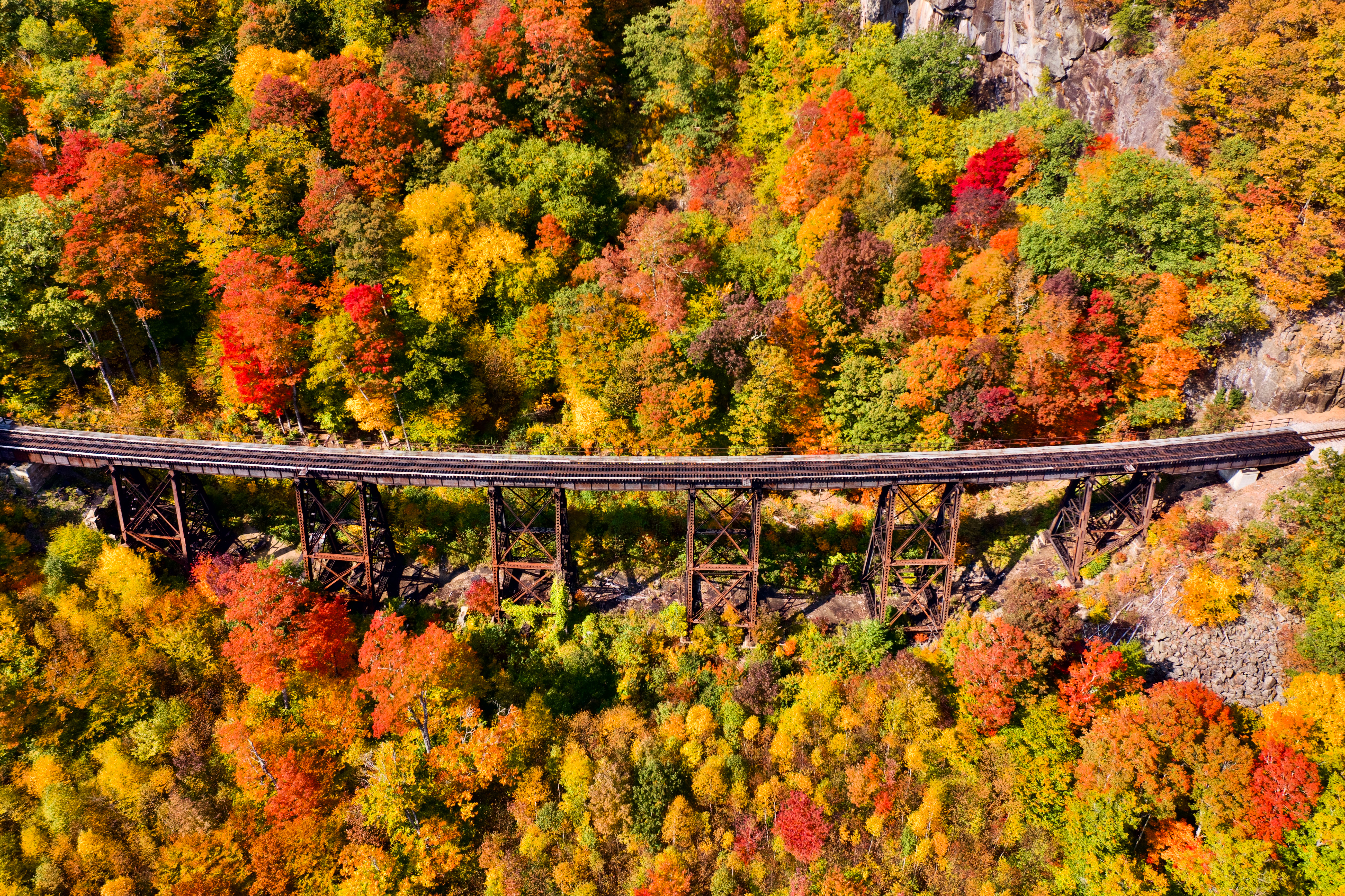 免费照片峡谷上的铁路桥，秋天的落叶林