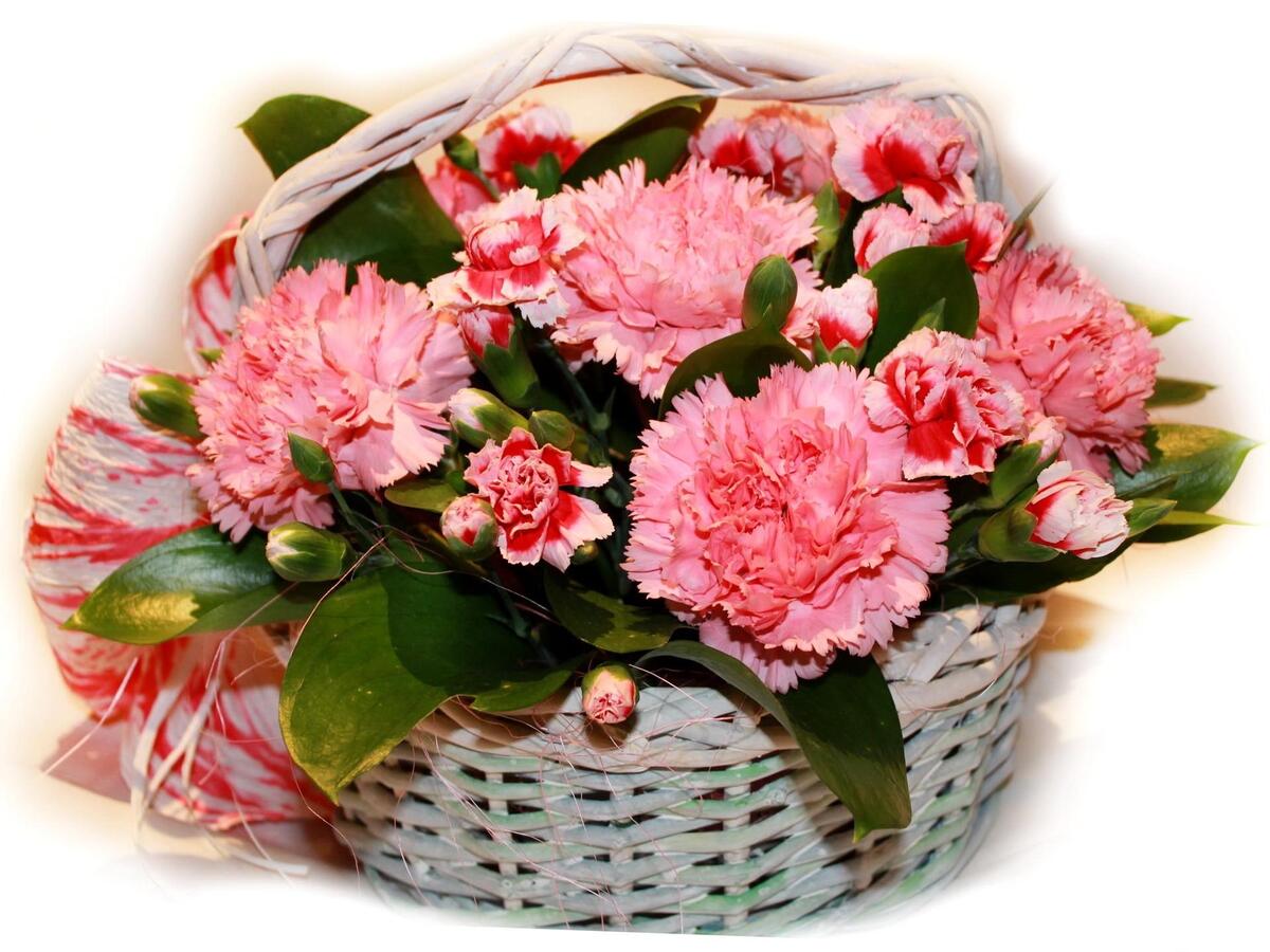 A basket of pink carnations.