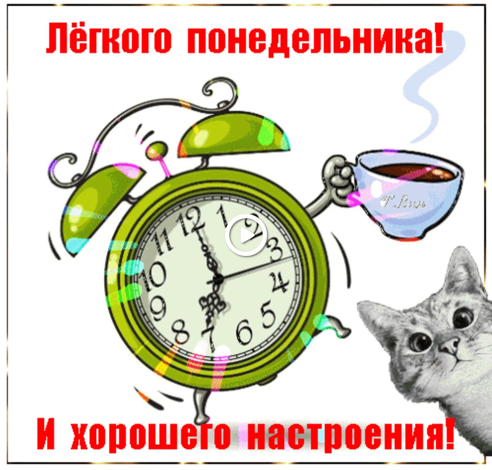 monday cat a clock