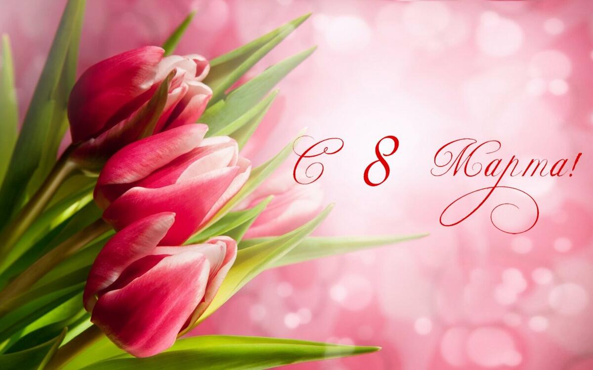 8 марта с розовыми тюльпанами