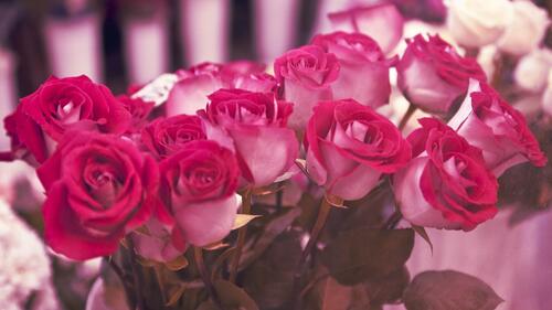 Букет с розовыми розами