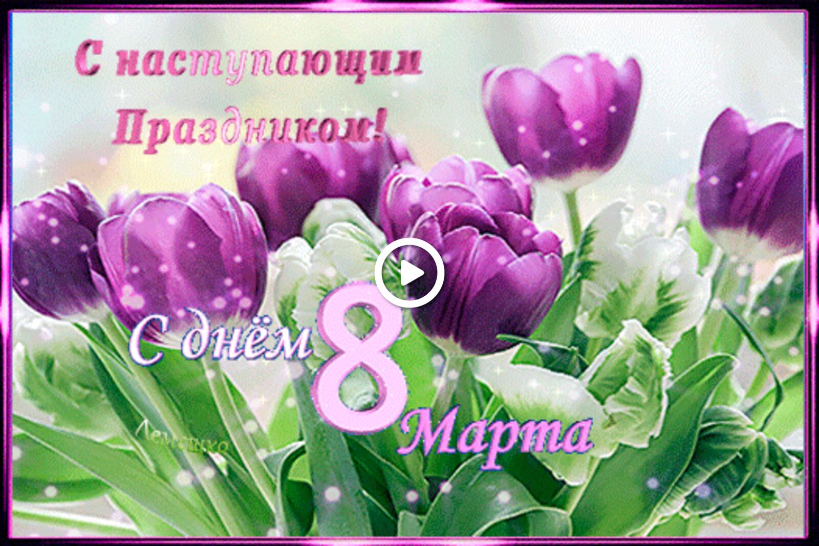 tulip bouquet 3dtext frohen kommenden 8 marz