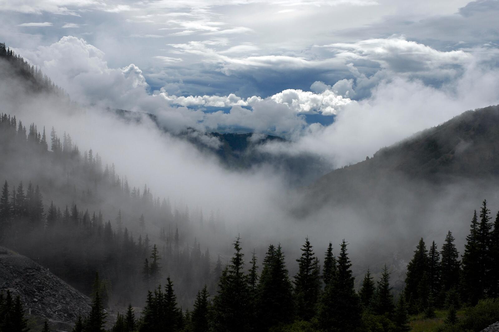 Бесплатное фото Горы в тумане