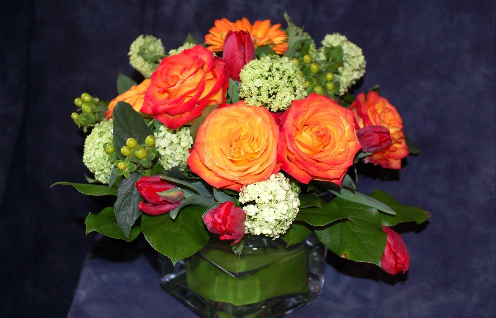 Обои розы цветы цветок на рабочий стол