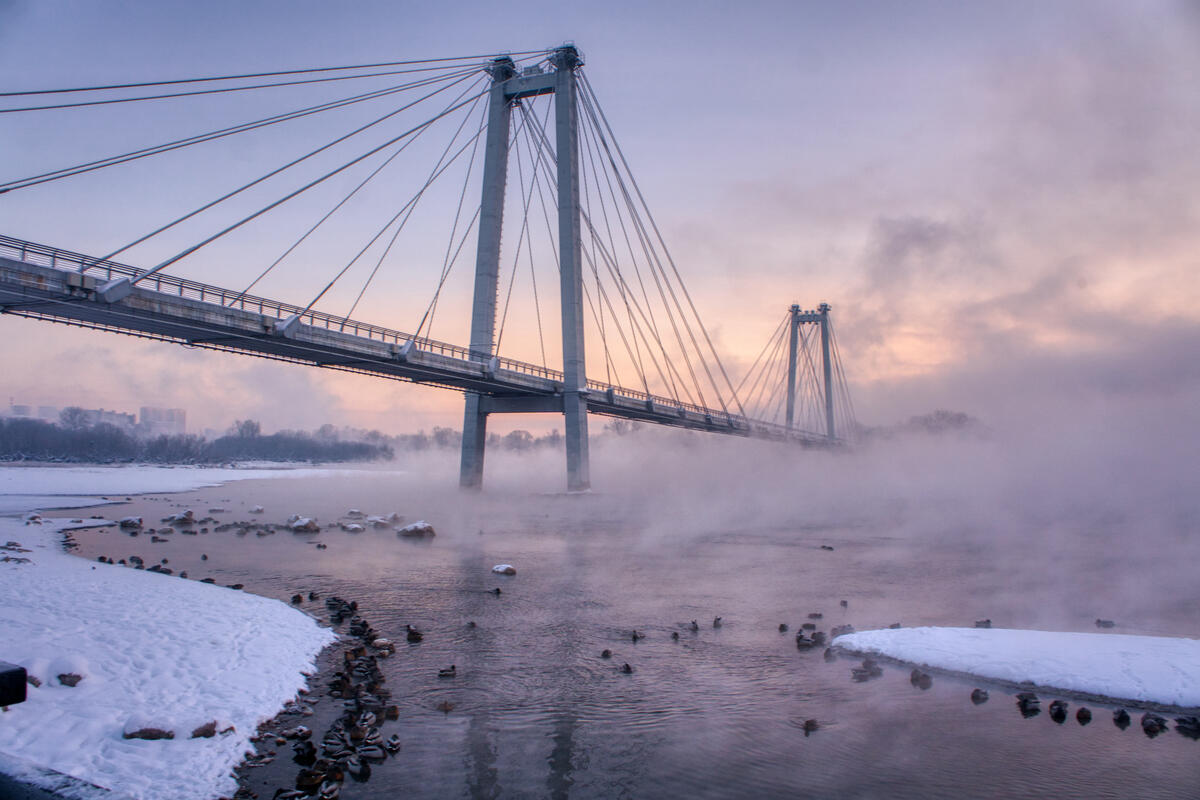 The bridge and the foggy frost