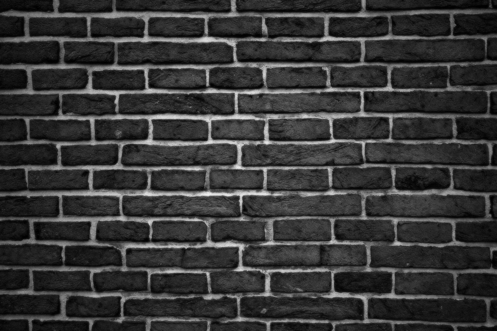 Free photo Brick wall in monochrome photo