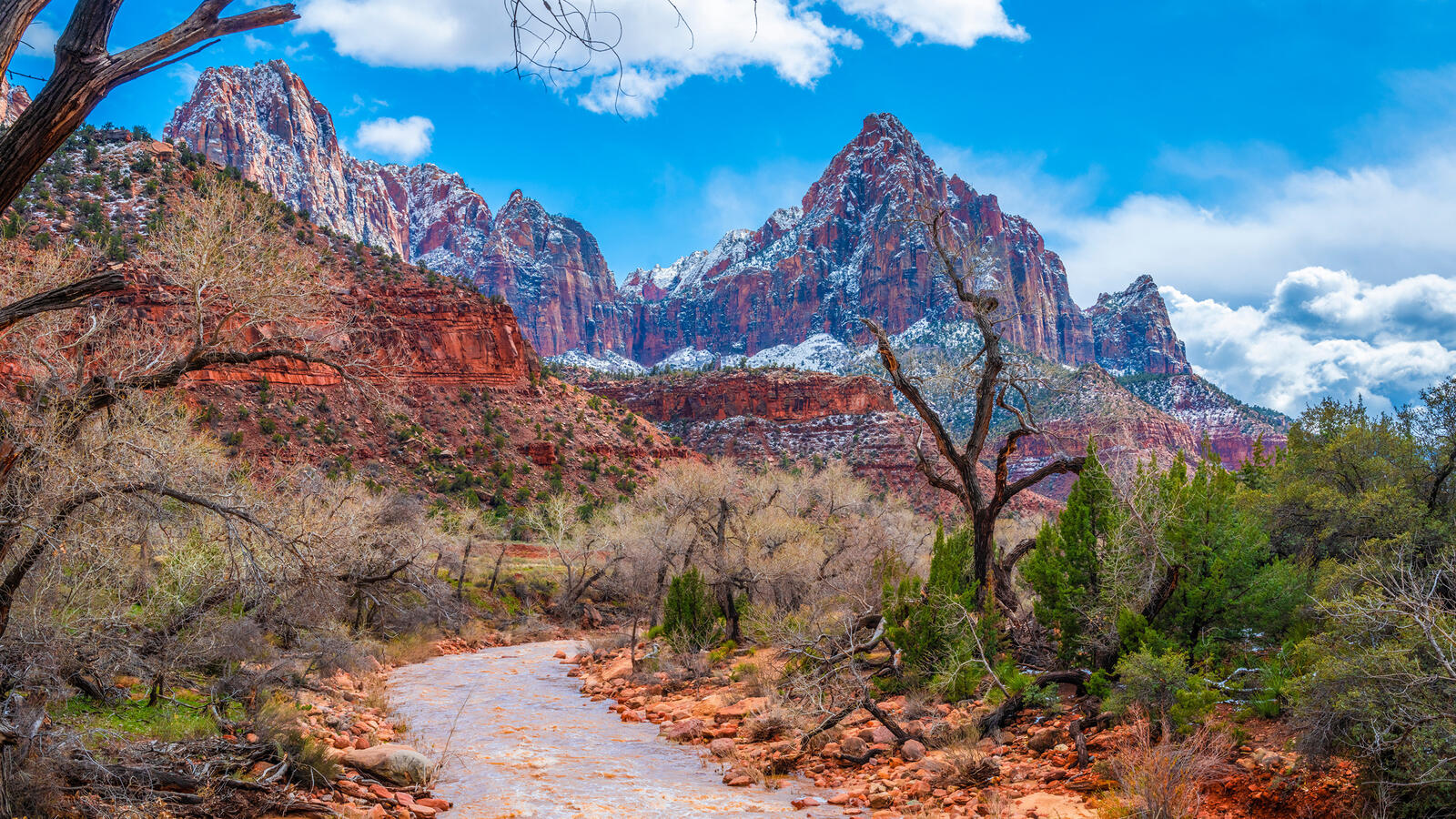Free photo Zion National Park in Utah, USA