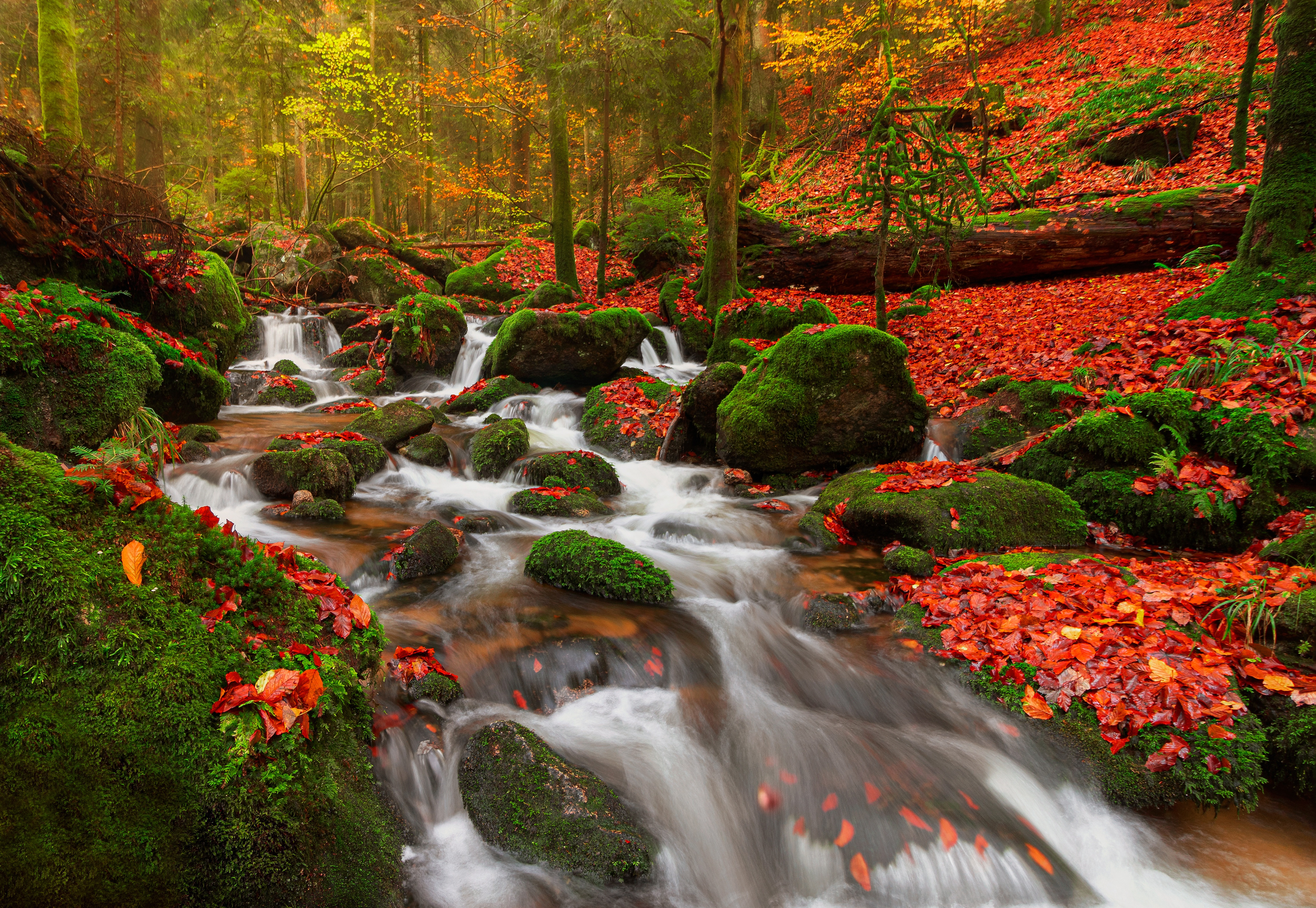 Фото обои осень, водопад, поток, падение, мох, скалы, Германия, пейзажи - бесплатные картинки на Fonwall