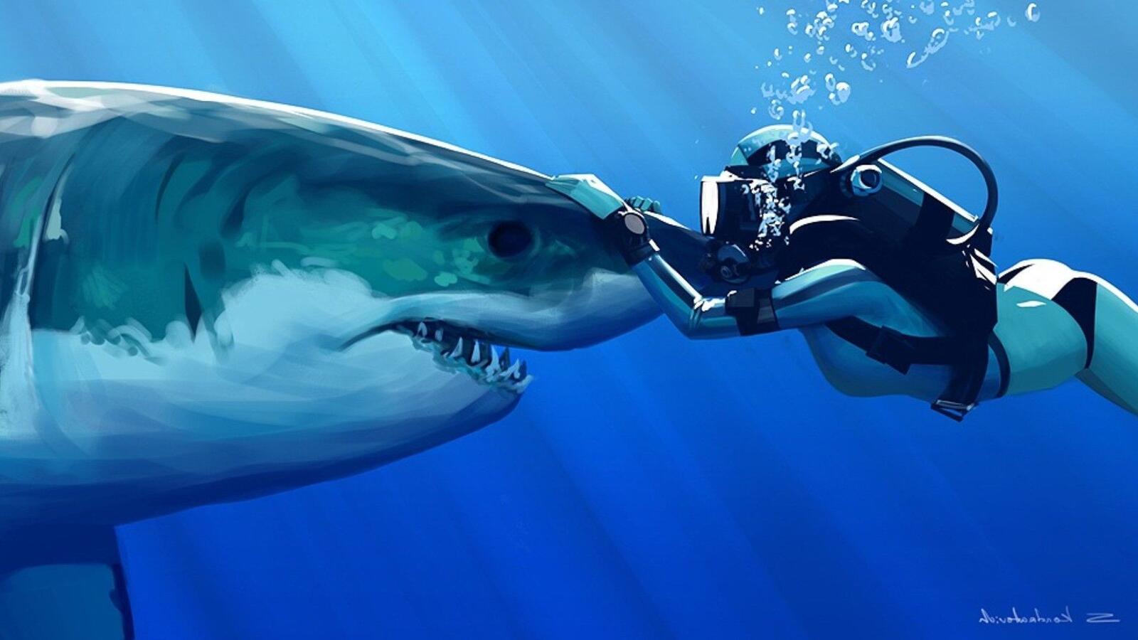 Знакомство с акулой