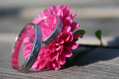 Two wedding rings on a pink flower