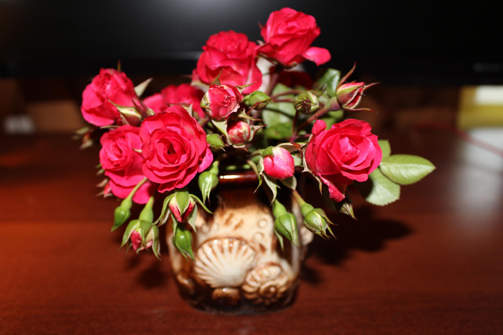 Free photo Little red rosebuds