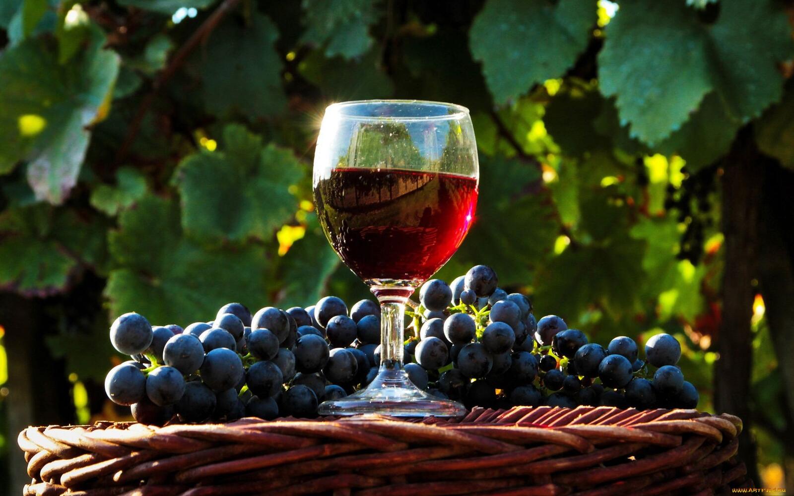 Бесплатное фото Бокал красного вина