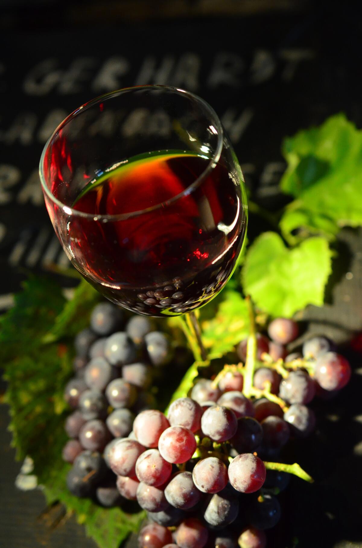 Wine in a glass with a bunch of grapes.
