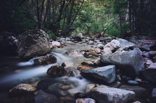 森林里有大石头的河流