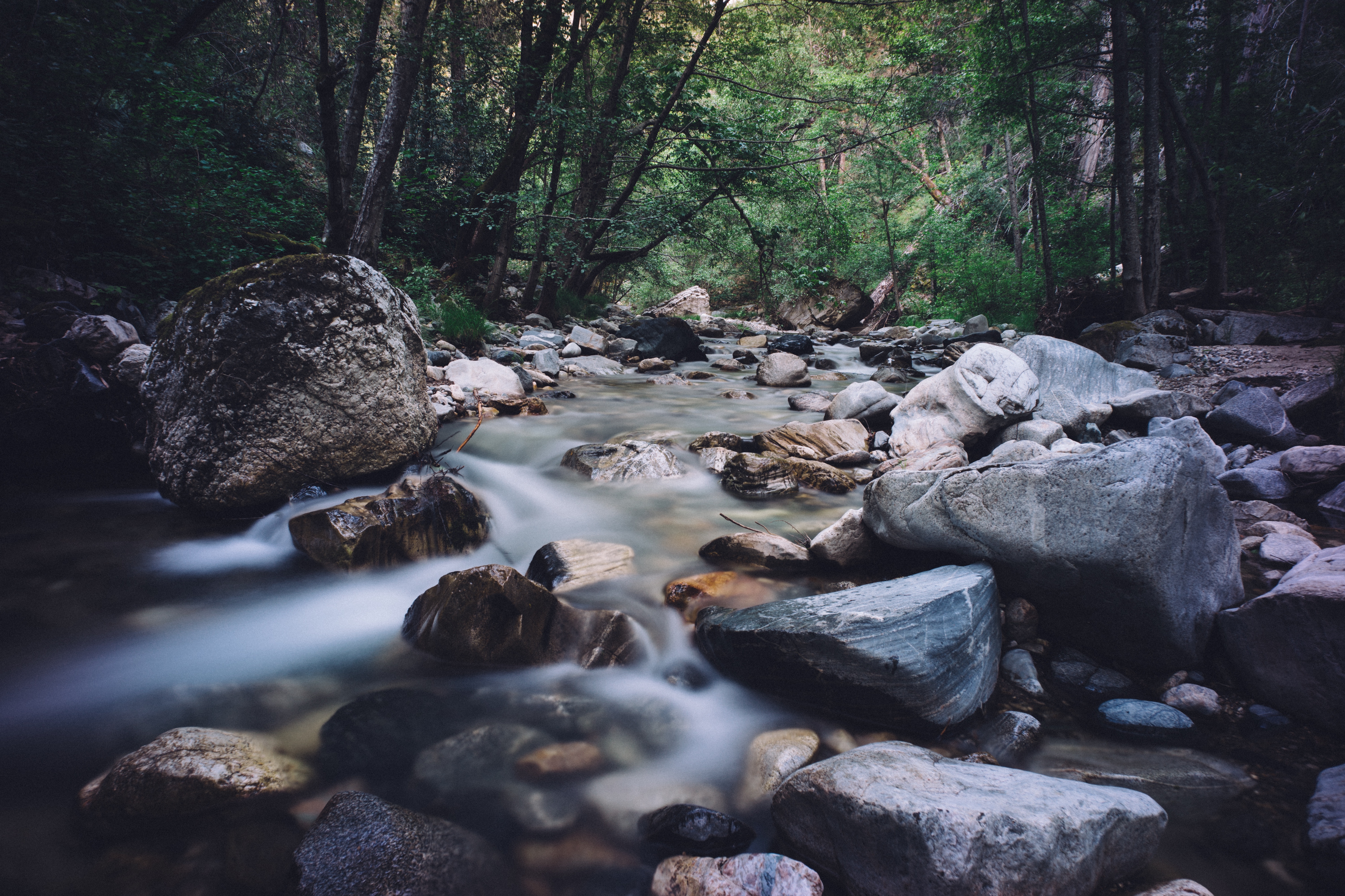 Бесплатное фото Река с большими камнями в лесу