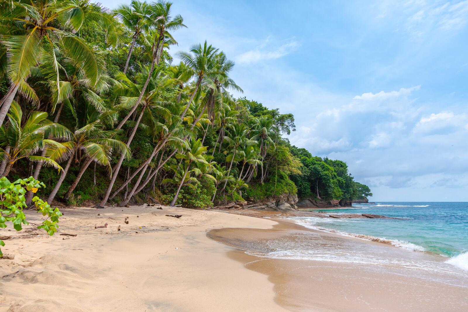 Бесплатное фото Остров в море с пальмами